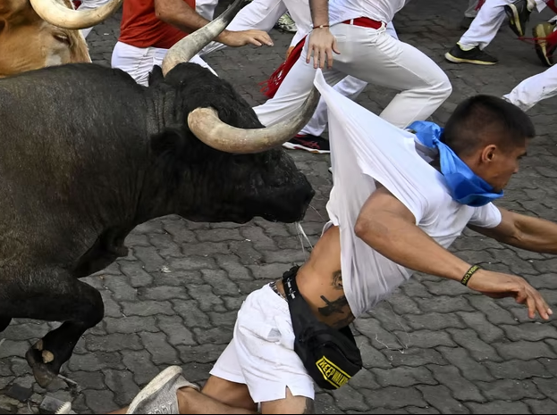 Man gored to death at bull-running festival