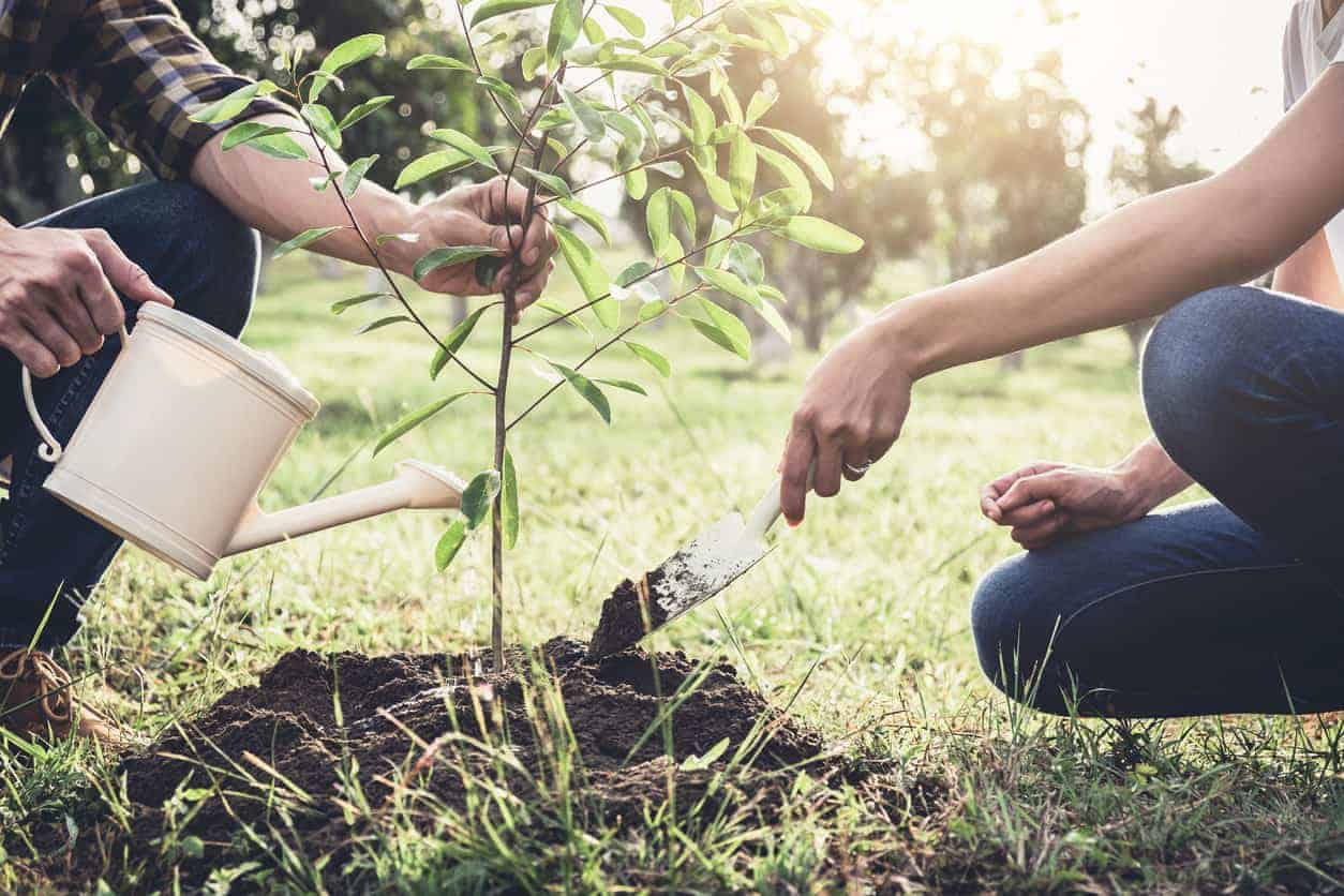 National Conservation Commission Hosts Scavenger Hunt and Family Fun Day for Arbor Day