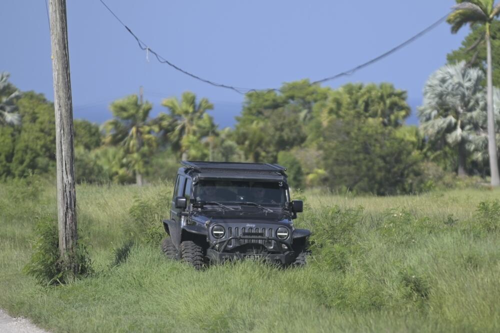 Norris, Watkins win MudDogs Championship final